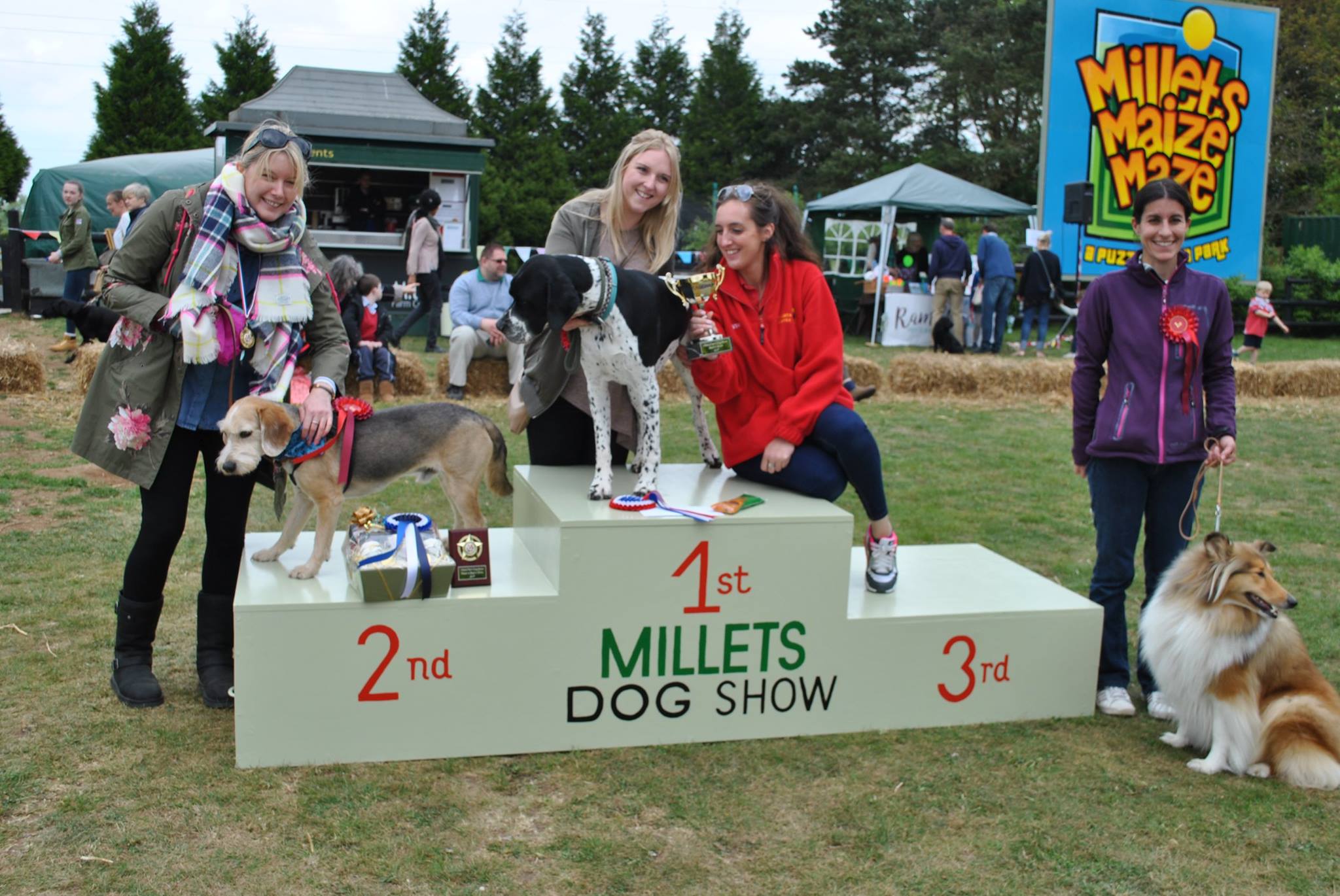 Millets dog show